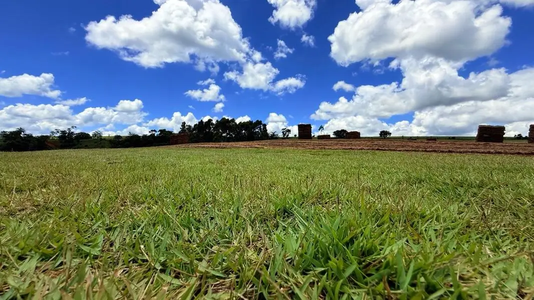 Condomínios e áreas comerciais com grama natural
